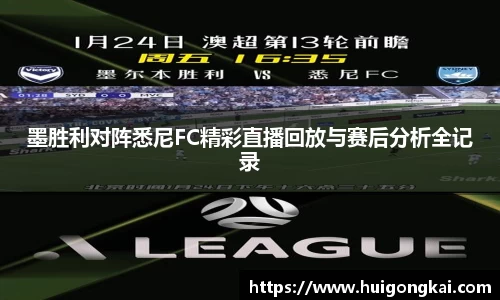 墨胜利对阵悉尼FC精彩直播回放与赛后分析全记录